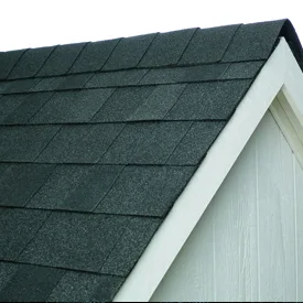 Black Shadow Atlas Castlebrook shingles on a sample roof