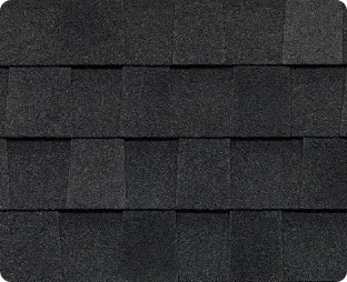 Atlas Castlebrook shingle swatch in Black Shadow