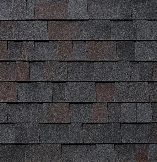 Malarkey Legacy Scotchgard shingle swatch in Black Oak