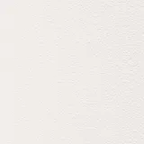ProVia Traditional White siding swatch