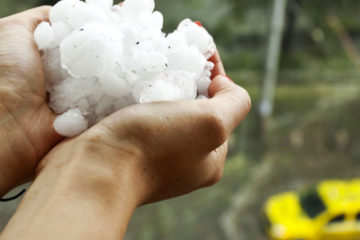 Hail Damaged Roof