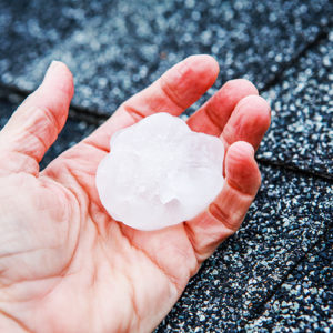 A hand on a shingle roof holding a big piece of hail.