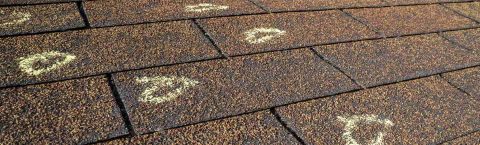 Looking for Roofing Contractors for Your Home or Property?