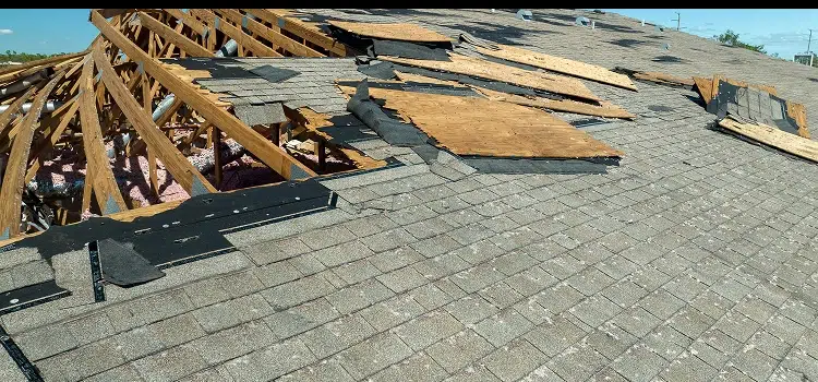storm damaged roof